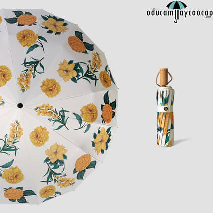 Ô dù cầm tay cao cấp siêu sang 16 xương mạ vàng nhập khẩu Gold Flowers Ô dù cầm tay cao cấp siêu sang 16 xương mạ vàng nhập khẩu Gold Flowers