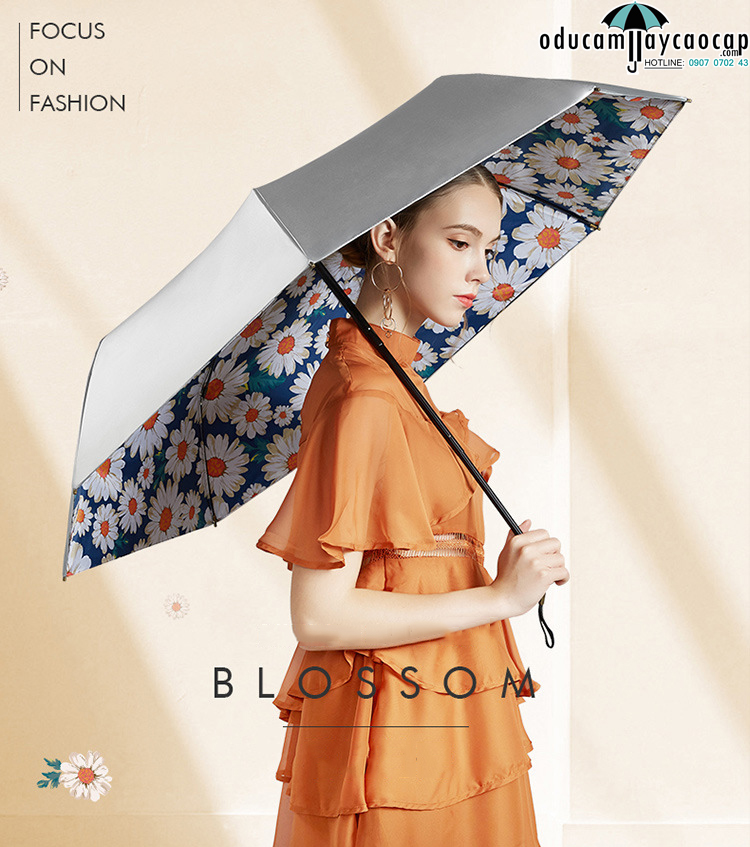 Mẫu dù cúc họa mi mùa thu đông đậm chất trữ tình và trong sáng Mẫu dù cúc họa mi mùa thu đông đậm chất trữ tình và trong sáng