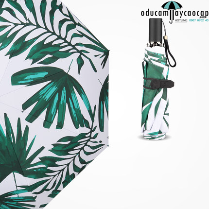 Ô cầm tay cao cấp lá cọ xanh vô cùng tươi mát Ô cầm tay cao cấp lá cọ xanh vô cùng tươi mát