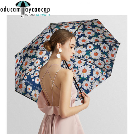 Ô cao cấp họa tiết Cúc họa mi 2 lớp rời Ô cao cấp họa tiết Cúc họa mi 2 lớp rời