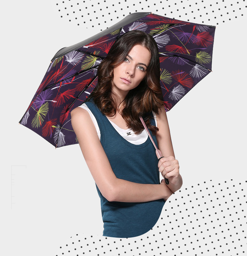 Ô cao cấp họa tiết Bồ công anh Ô cao cấp họa tiết Bồ công anh