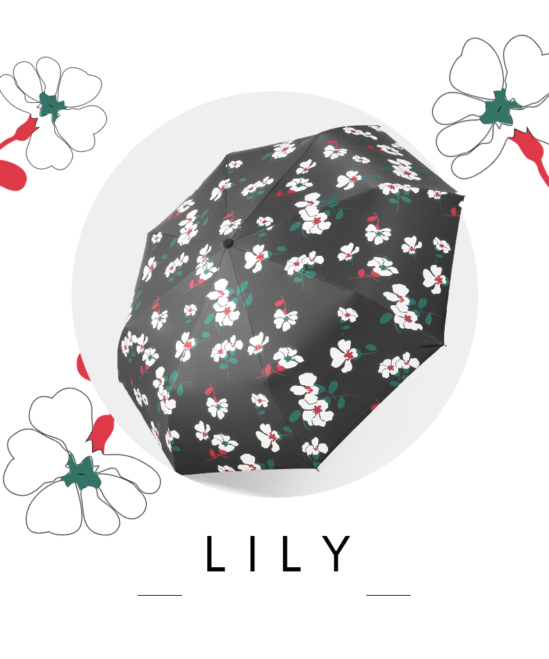 Ô cao cấp họa tiết Lily vô cùng ấn tượng Ô cao cấp họa tiết Lily vô cùng ấn tượng
