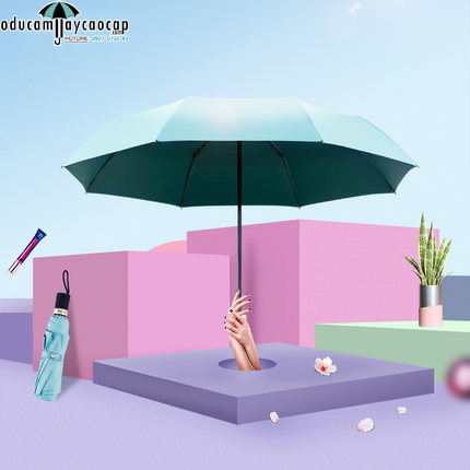 Ô cao cấp Dream Powder (Blue Sky and Deep green) Ô cao cấp Dream Powder (Blue Sky and Deep green)