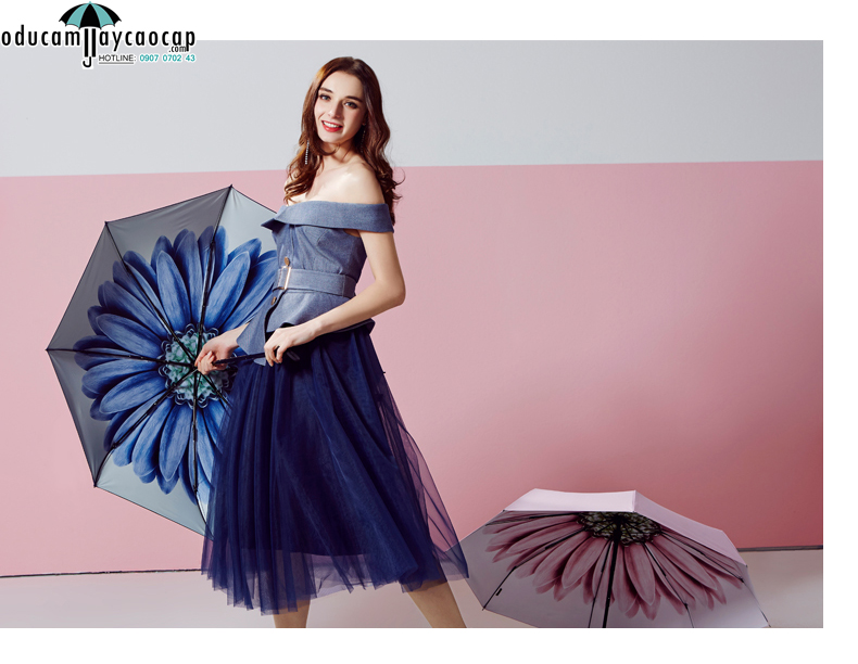 Ô cao cấp họa tiết Blue Daisy Ô cao cấp họa tiết Blue Daisy