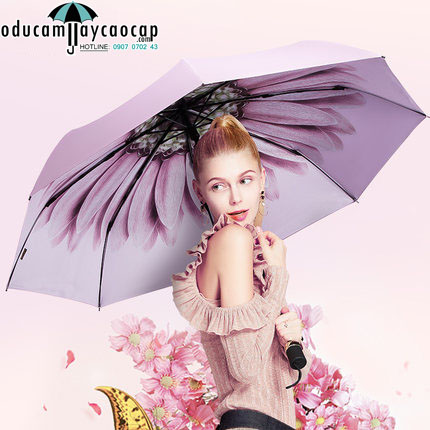 Ô cao cấp Pink Daisy siêu đáng yêu và lãng mạn Ô cao cấp Pink Daisy siêu đáng yêu và lãng mạn