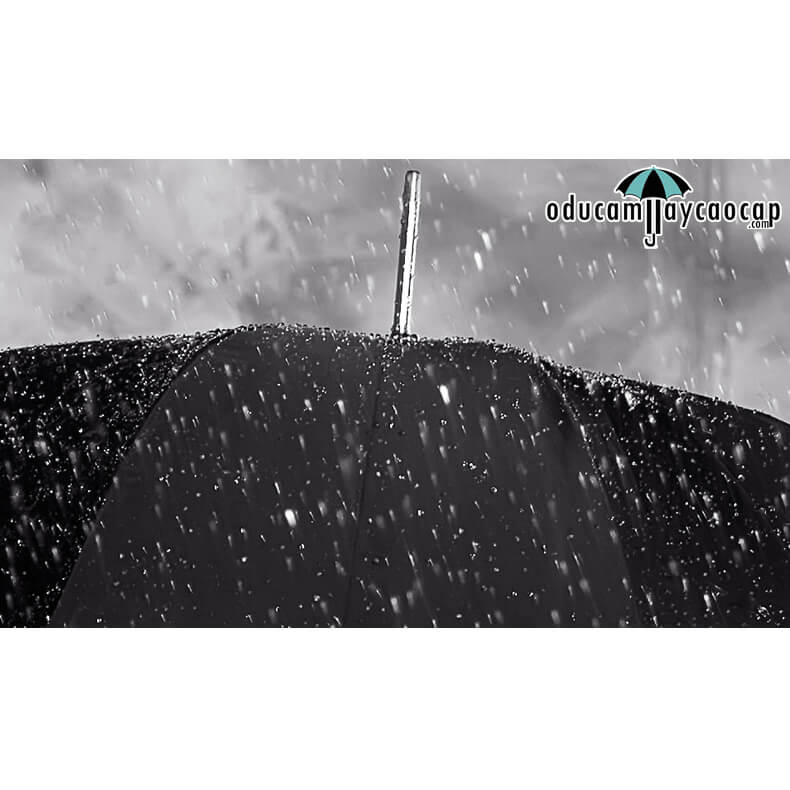 Ô dù cầm tay cao cấp cán dài siêu sang Soud of Lion Ô dù cầm tay cao cấp cán dài siêu sang Soud of Lion
