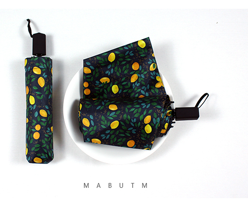 Ô cầm tay cao cấp họa tiết chanh vàng lá xanh Ô cầm tay cao cấp họa tiết chanh vàng lá xanh