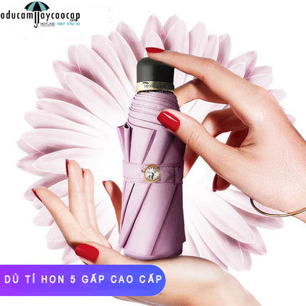 Ô cao cấp tí hon họa tiết Pink Daisy Ô cao cấp tí hon họa tiết Pink Daisy