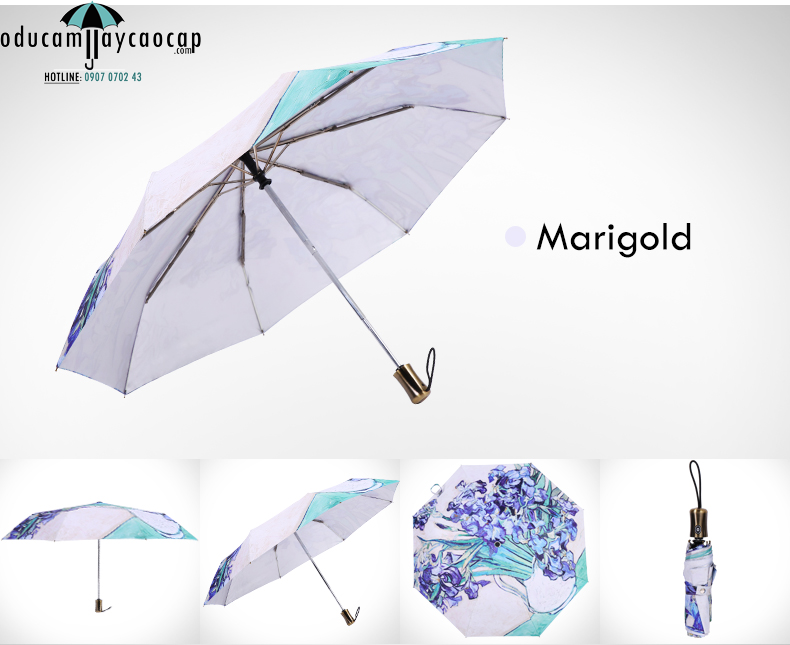 Ô tự động 2 chiều Marigold mang đến vẻ đẹp tinh khiết Ô tự động 2 chiều Marigold mang đến vẻ đẹp tinh khiết