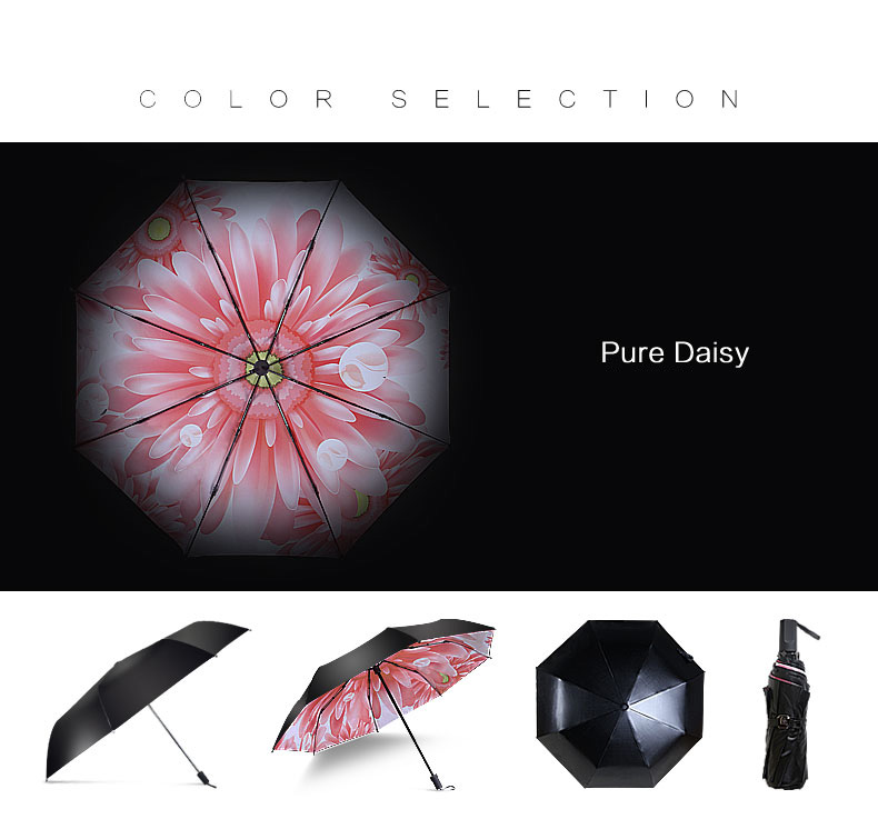 Ô dù cầm tay cao cấp Hongkong chống tia UV pure daisy Ô dù cầm tay cao cấp Hongkong chống tia UV pure daisy
