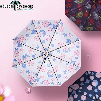 Mẫu dù hoa Cúc bi Blue và White Mẫu dù hoa Cúc bi Blue và White
