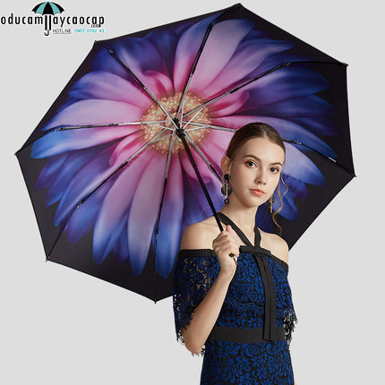 Ô dù cao cấp chống UV họa tiết Cúc sương mai (black) Ô dù cao cấp chống UV họa tiết Cúc sương mai (black)