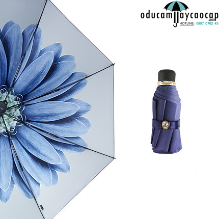 Ô dù mini cao cấp họa tiết Blue Daisy Ô dù mini cao cấp họa tiết Blue Daisy