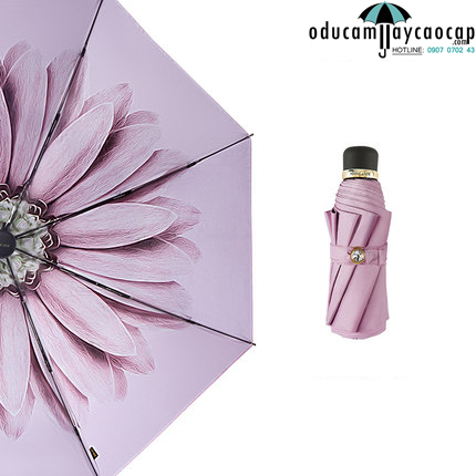 Dù che mưa mini Pink Daisy nhẹ nhàng và thuần khiết Dù che mưa mini Pink Daisy nhẹ nhàng và thuần khiết