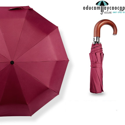 Ô tự động tay cầm gỗ cong (Wine Red) vô cùng quyến rũ Ô tự động tay cầm gỗ cong (Wine Red) vô cùng quyến rũ