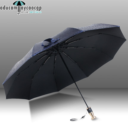 Ô tự động 2 chiều cao cấp Luxurious Sapphire Blue mang lại sự thoải mái cho người sử dụng