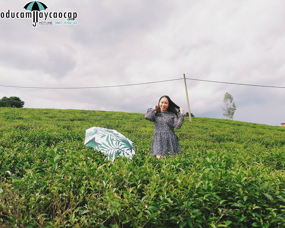 Nhẹ nhàng, thanh mát tận hưởng hương thơm và khí trời se mát của đồi chè cao nguyên cùng Ô dù cầm tay tí hon mini cao cấp Hongkong chống tia UV lá cọ xanh DCT34702